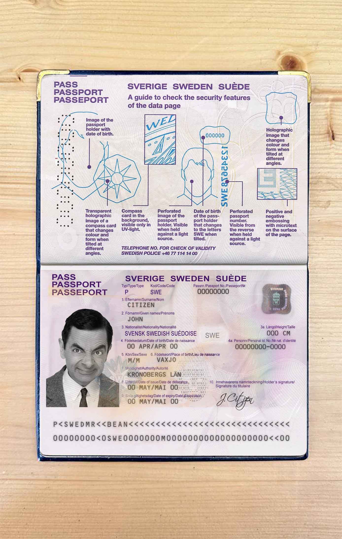 Sweden passport photo look PSD template